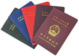 我们的服务内容